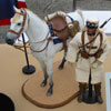 Dismounted
