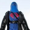 Cobra Commander Himself