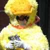 Under water Duck Demolition Team