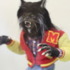 Teen Wolf
