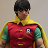 Robin