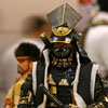 The Last Samurai
