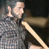 Wolverine