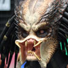 Predator